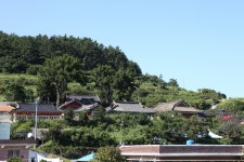 문화재이미지 | 완도향교_원경 (촬영년도 : 2015년) 완도향교_원경 (촬영년도 : 2015년)