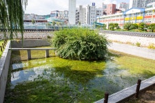 국가유산이미지 | 욕은지 욕은지
