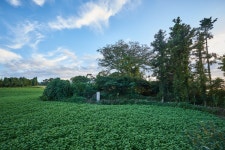 국가유산이미지 | 시도민속문화재 월평다리굿당_003 시도민속문화재 월평다리굿당_003