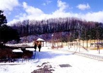 국가유산이미지 | 초안산근린공원전경 초안산근린공원전경