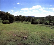 문화재이미지 | 강화선원사지(발굴전) 강화선원사지(발굴전)