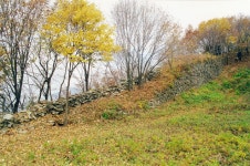 국가유산이미지 | 내성서북쪽성벽전경(성안에서) 내성서북쪽성벽전경(성안에서)
