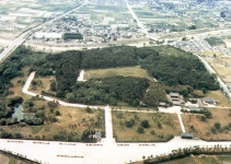 문화재이미지 | 오릉과주변지형원경 오릉과주변지형원경