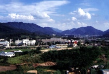 국가유산이미지 | 김해대성동고분군 김해대성동고분군