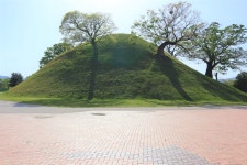 문화재이미지 | 경주 노동동 고분군 내 봉황대 전경2(125호분) 경주 노동동 고분군 내 봉황대 전경2(125호분)