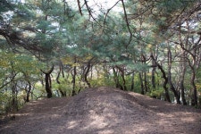 문화재이미지 | 경주 구정동 고분군_능 상부 (촬영년도 : 2015년) 경주 구정동 고분군_능 상부 (촬영년도 : 2015년)