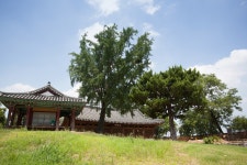 국가유산이미지 | 김제군 관아와 향교_김제동헌 입구 전경 (촬영년도 : 2015년) 김제군 관아와 향교_김제동헌 입구 전경 (촬영년도 : 2015년)