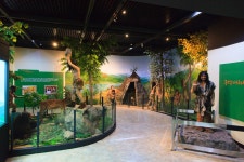 국가유산이미지 | 공주 석장리 유적_전시관 내부2 (촬영년도 : 2015년) 공주 석장리 유적_전시관 내부2 (촬영년도 : 2015년)