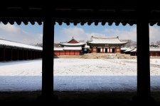 문화재이미지 | 창경궁_명정문에서 본 명정전 창경궁_명정문에서 본 명정전