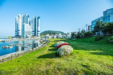 국가유산이미지 | 부산 동삼동 패총 전경 부산 동삼동 패총 전경
