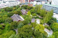 국가유산이미지 | 대구 경상감영지 대구 경상감영지