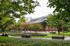 국가유산이미지 | 대구 경상감영지 대구 경상감영지