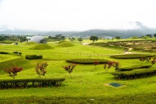 국가유산이미지 | 의성 금성면 고분군 의성 금성면 고분군