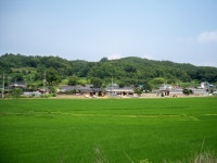 문화재이미지 | 영주 괴헌고택 전경 영주 괴헌고택 전경