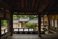 국가유산이미지 | 사랑채 내루에서 내다본 대문 사랑채 내루에서 내다본 대문