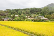 문화재이미지 | 고성 왕곡마을 고성 왕곡마을