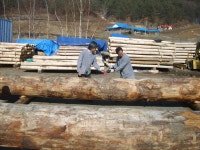 국가유산이미지 | 대목장 홍완표 대목장 홍완표