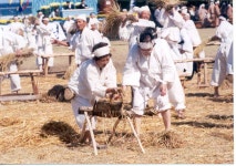국가유산이미지 | 거창일소리 공연 거창일소리 공연