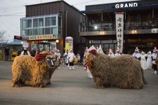 국가유산이미지 | 속초사자놀이 사자춤(속초시청) 속초사자놀이 사자춤(속초시청)