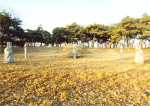 국가유산이미지 | 이여발묘전경 이여발묘전경