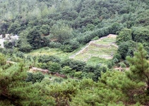 국가유산이미지 | 만동묘정비원경 만동묘정비원경