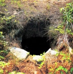 국가유산이미지 | 초촌리고분군 초촌리고분군