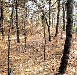 국가유산이미지 | 상주금흔리이부곡토성 상주금흔리이부곡토성