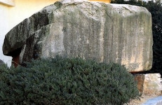 국가유산이미지 | 창원외동지석묘 창원외동지석묘