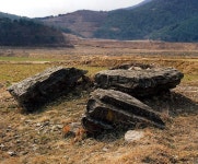 문화재이미지 | 학림리지석묘 학림리지석묘
