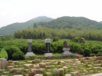 국가유산이미지 | 쌍계사 차나무 시배지 쌍계사 차나무 시배지