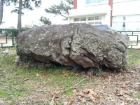 문화재이미지 | 하귀지석묘2호(제주시) 하귀지석묘2호(제주시)