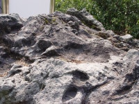 국가유산이미지 | 성혈 - 상예동지석묘 1호 성혈 - 상예동지석묘 1호