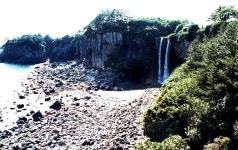 국가유산이미지 | 정방폭포난대림지역 정방폭포난대림지역