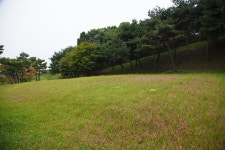 문화재이미지 | 천왕사지 전경과 소나무숲 천왕사지 전경과 소나무숲