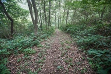 문화재이미지 | 시도기념물 제22호_백골산성_09 시도기념물 제22호_백골산성_09