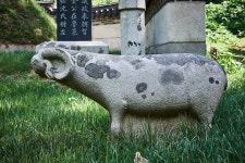 국가유산이미지 | 시도기념물 김재로묘 부분컷6 시도기념물 김재로묘 부분컷6