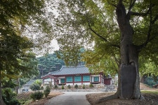 국가유산이미지 | 시도기념물 해미향교_전경 시도기념물 해미향교_전경