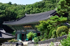 문화재이미지 | 망월사지_대웅보전 전경 (촬영년도 : 2015년) 망월사지_대웅보전 전경 (촬영년도 : 2015년)