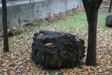 국가유산이미지 | 사월동지석묘군_근경1 (촬영년도 : 2015년) 사월동지석묘군_근경1 (촬영년도 : 2015년)