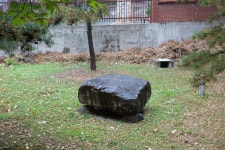 국가유산이미지 | 사월동지석묘군_근경3 (촬영년도 : 2015년) 사월동지석묘군_근경3 (촬영년도 : 2015년)