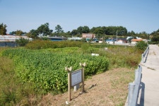 국가유산이미지 | 부여용정리소룡골백제건물지_안내판과 건물지 전경 (촬영년도 : 2015년) 부여용정리소룡골백제건물지_안내판과 건물지... 