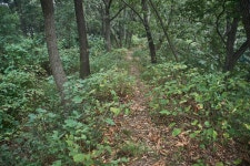 국가유산이미지 | 평택무성산성지 1 평택무성산성지 1