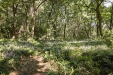 국가유산이미지 | 월평동산성 월평동산성