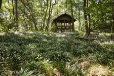 국가유산이미지 | 월평동산성 월평동산성