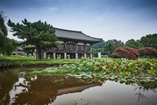 국가유산이미지 | 법화사지 법화사지