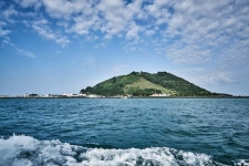 문화재이미지 | 시도기념물 제48호_비양도의비양나무자생지_1 시도기념물 제48호_비양도의비양나무자생지_1