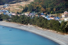 국가유산이미지 | 완도 예송리 상록수림 완도 예송리 상록수림