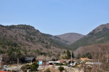 국가유산이미지 | 진도 쌍계사 상록수림 진도 쌍계사 상록수림