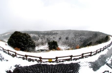 국가유산이미지 | 산굼부리 분화구(겨울) 산굼부리 분화구(겨울)