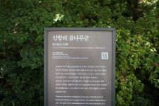 국가유산이미지 | 창원 신방리 음나무 군_4 (촬영년도 : 2015년) 창원 신방리 음나무 군_4 (촬영년도 : 2015년)